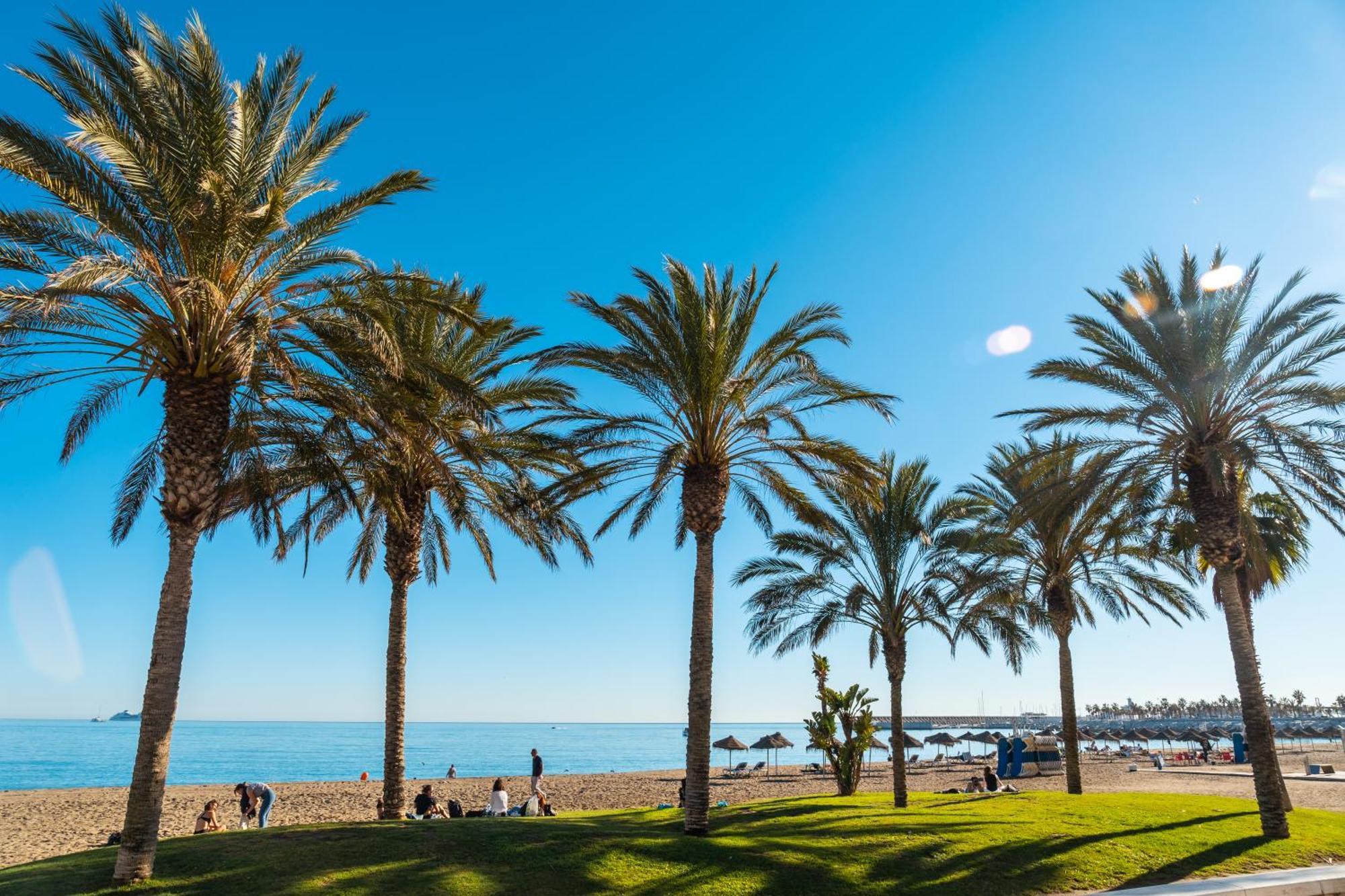Your Home In Malaga Centro & Parking Free المظهر الخارجي الصورة